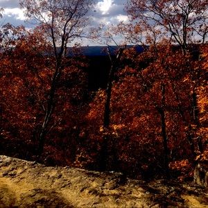 Meet your Posher, Maddie